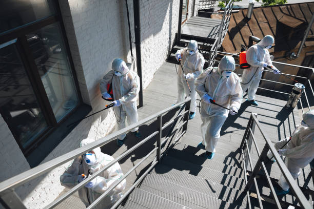Best Water Damage & Mold Remediation  in San Rafael, CA