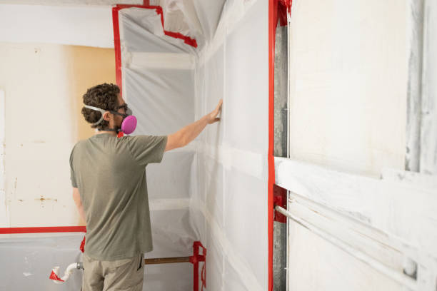 Best Mold Prevention Services  in San Rafael, CA