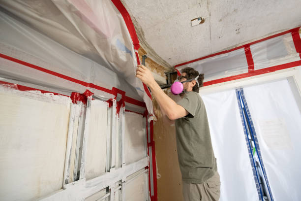 Best Crawl Space Mold Remediation  in San Rafael, CA