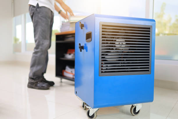Best Mold Documentation for Insurance Claims  in San Rafael, CA