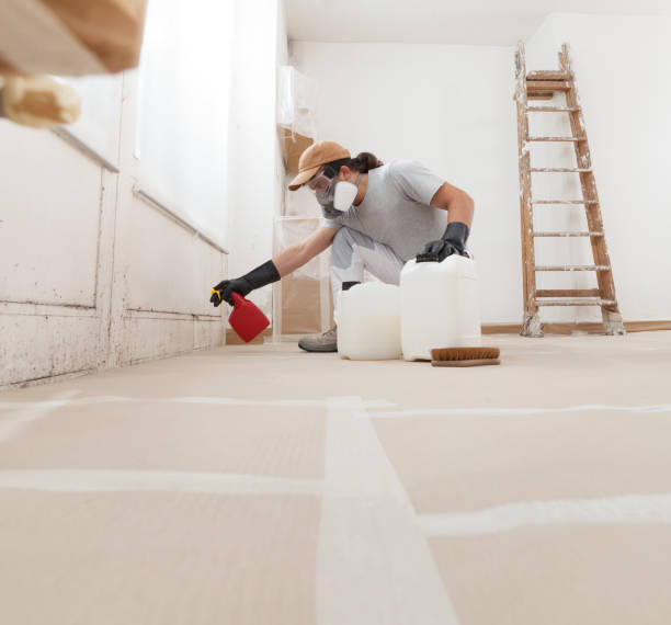 Best Indoor Air Quality Assessment  in San Rafael, CA