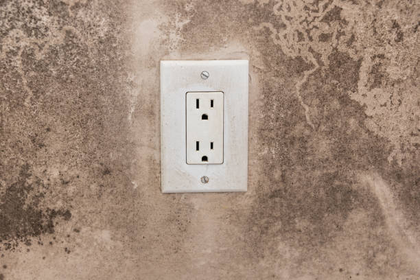Best Post-Construction Mold Inspection  in San Rafael, CA