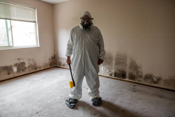 Best Air Quality Testing for Mold Spores  in San Rafael, CA